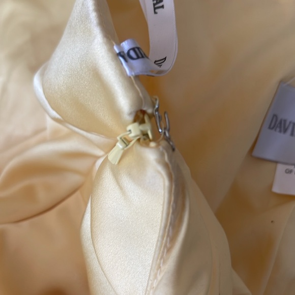 David’s bridal NWT size 10 halter ruched gown - Picture 6 of 9